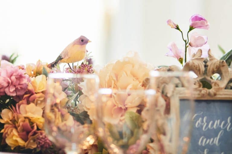 GARDENHILLS GEIHINKAN - 2017