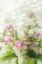 GARDENHILLS GEIHINKAN - 2017